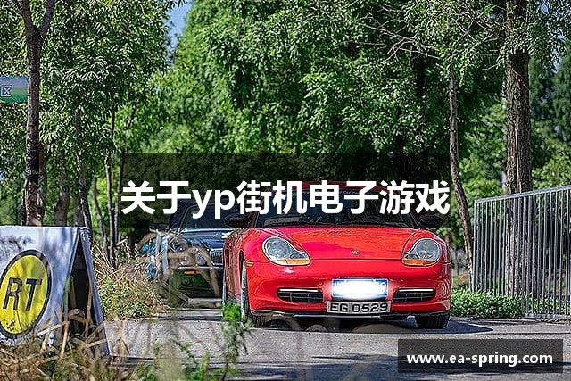关于yp街机电子游戏
